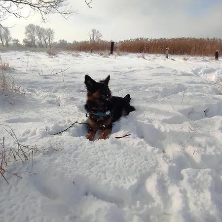 Zakatek Zurawi 2 Lodge *