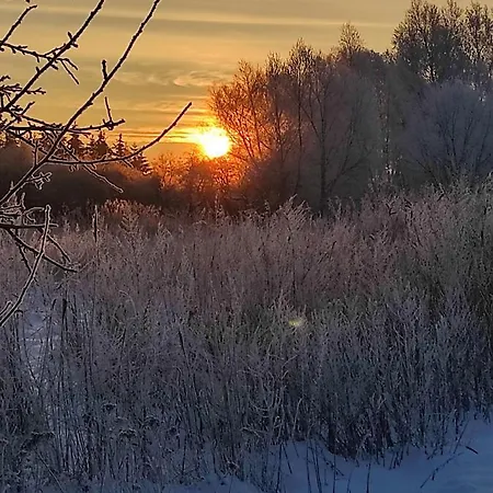Zakątek żurawi 2 Domek letniskowy *