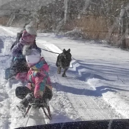 Domek letniskowy Zakątek żurawi 2 *