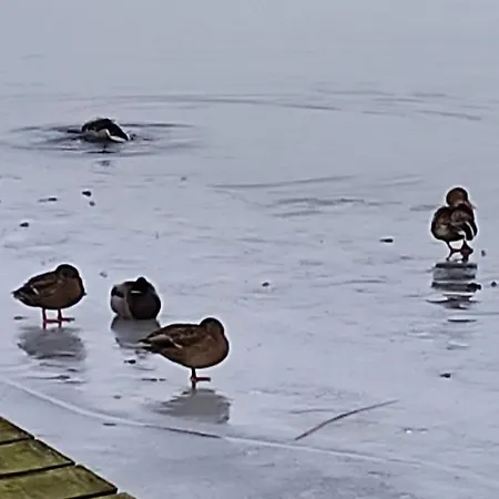 Zakatek Zurawi 2 Lodge Świnoujście