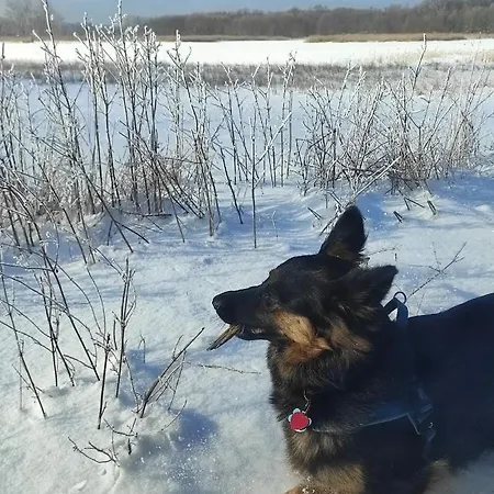 Zakatek Zurawi 2 Lodge Świnoujście