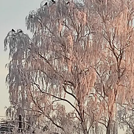 Zakatek Zurawi 2 Деревянный коттедж