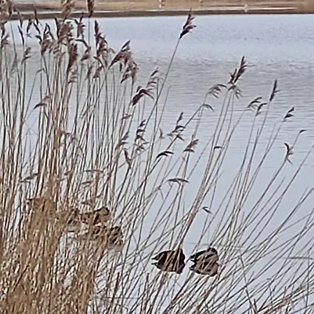 Zakatek Zurawi 2 * Świnoujście