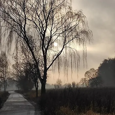 Zakątek żurawi 2 Domek letniskowy Świnoujście