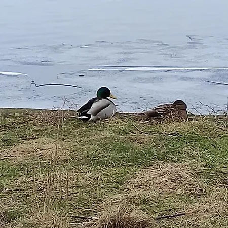 Zakatek Zurawi 2 * Świnoujście