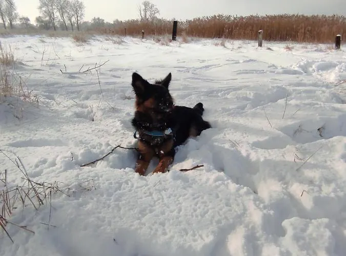 Zakatek Zurawi 2 Lodge *