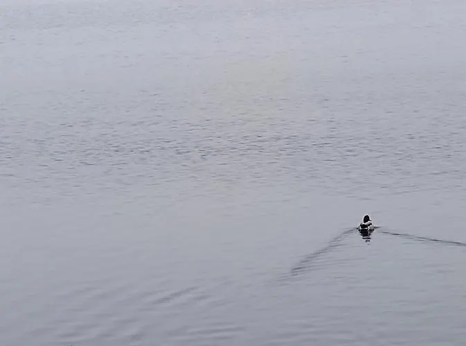 Zakatek Zurawi 2 Lodge Świnoujście