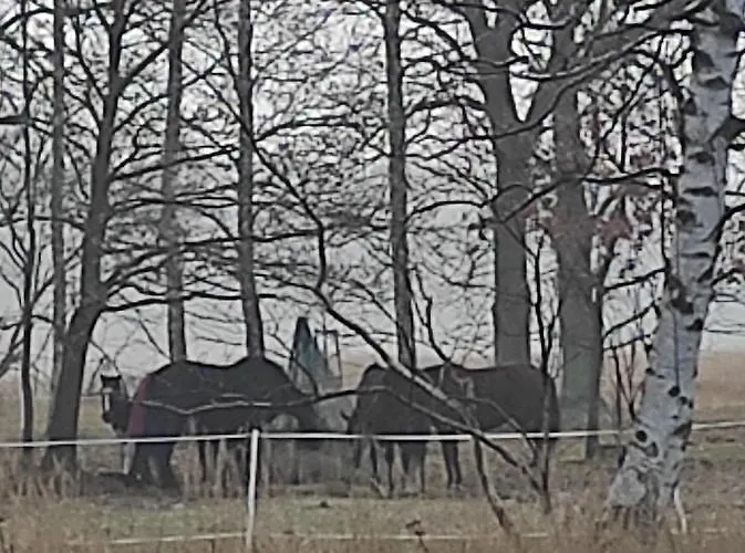 Zakatek Zurawi 2 Alojamento de Turismo Selvagem *