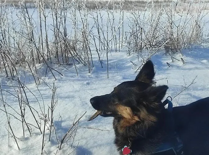 Zakatek Zurawi 2 Alojamento de Turismo Selvagem Świnoujście