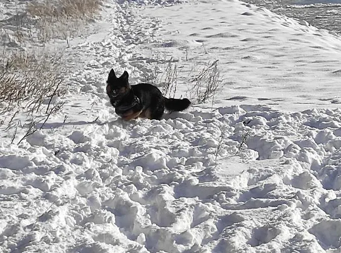 Alojamento de Turismo Selvagem Zakatek Zurawi 2