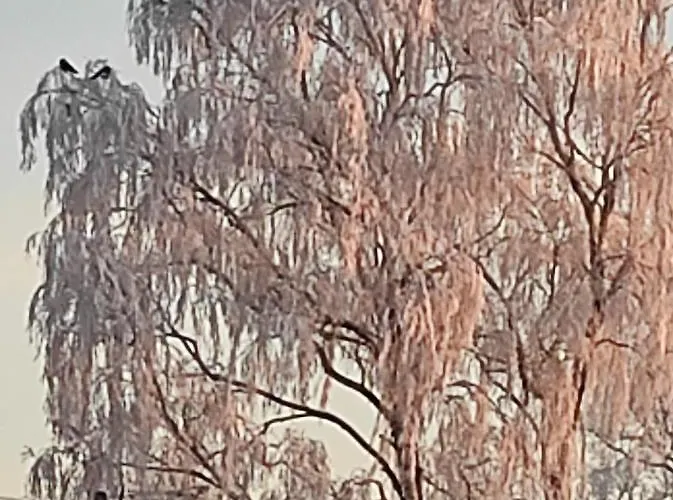 Zakatek Zurawi 2 Alojamento de Turismo Selvagem