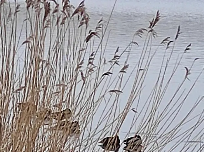 Zakatek Zurawi 2 * Świnoujście