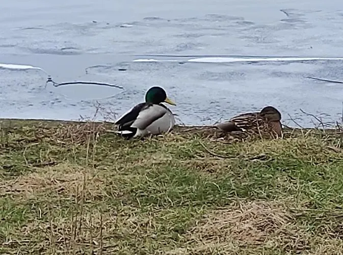 Zakatek Zurawi 2 * Świnoujście