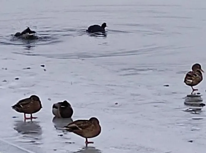 Zakatek Zurawi 2 * Świnoujście